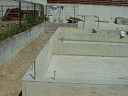 dsc05505.jpg