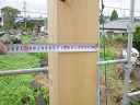 dsc08591.jpg