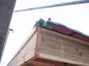 dsc08617.jpg