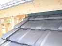 dsc02103.jpg