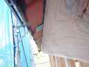 dsc02106.jpg