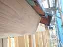 dsc02107.jpg
