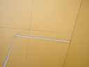 dsc07923.jpg