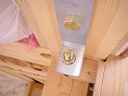 dsc07935.jpg