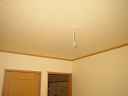 dsc09977.jpg