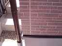 dsc04142.jpg
